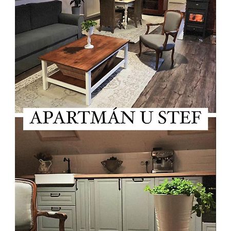 Apartman U Stef Borotice Экстерьер фото