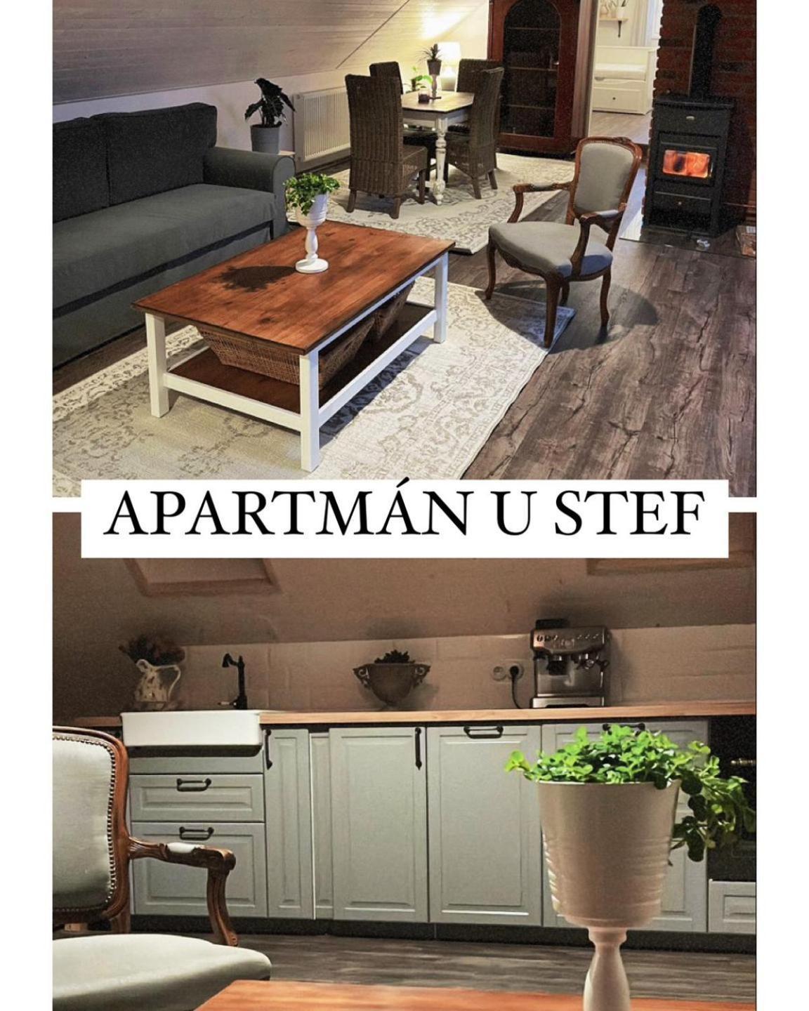 Apartman U Stef Borotice Экстерьер фото