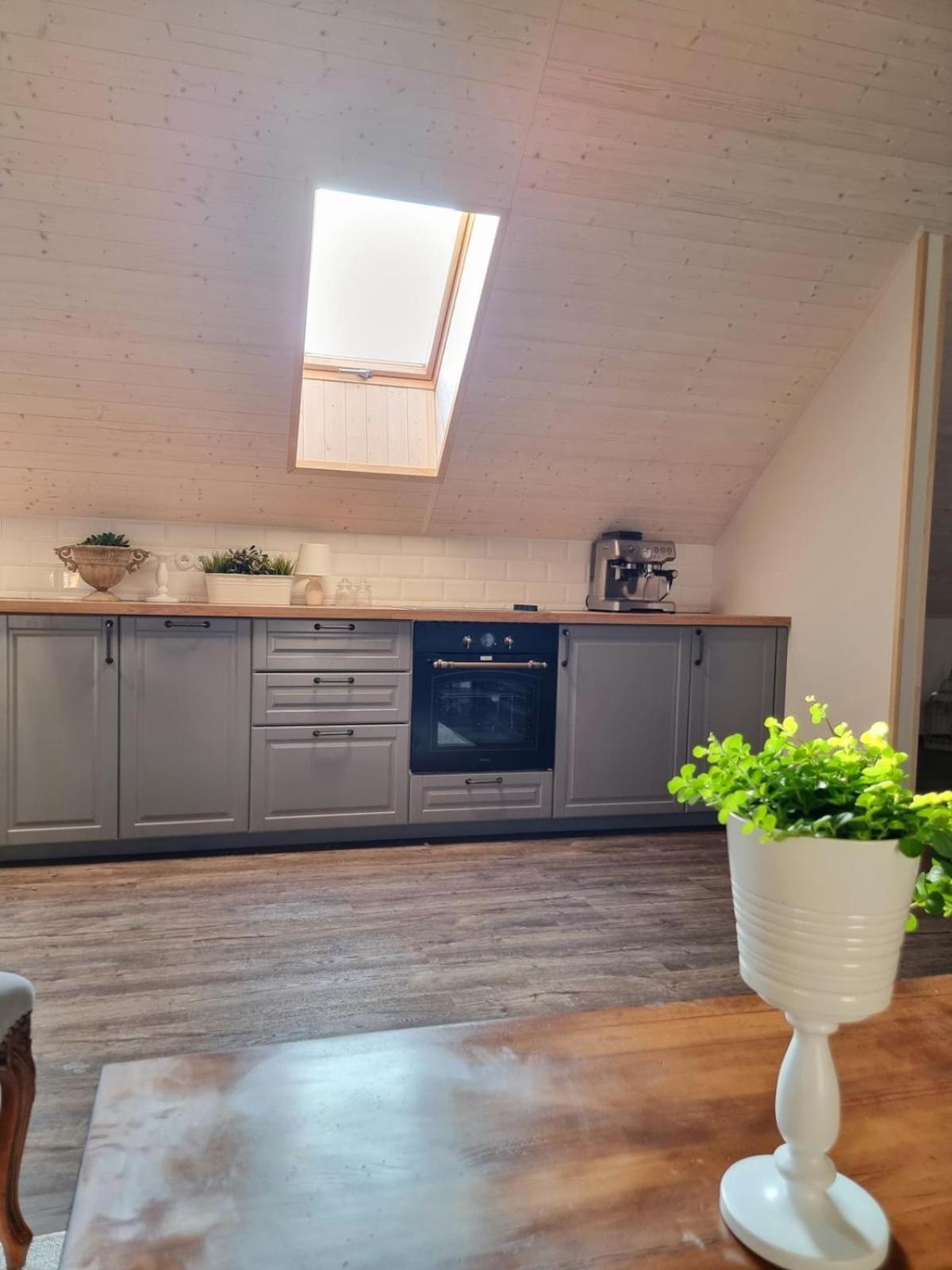 Apartman U Stef Borotice Экстерьер фото